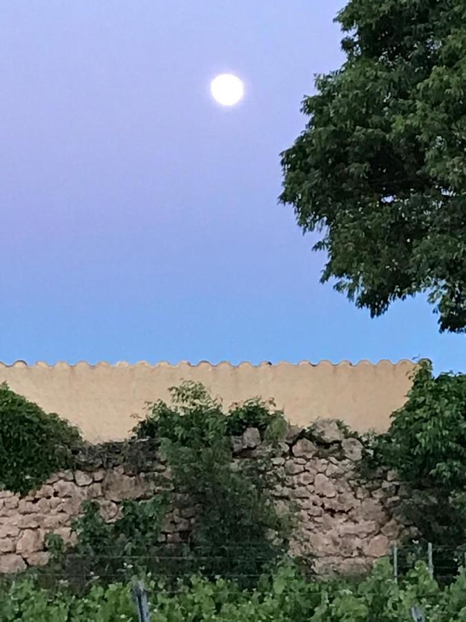 Domaine Du Clos D'Alari-Chambres D'Hotes Au Milieu Des Vignes Saint-Antonin-du-Var Exterior foto