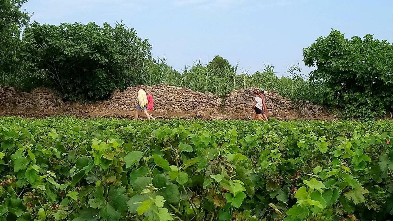 Domaine Du Clos D'Alari-Chambres D'Hotes Au Milieu Des Vignes Saint-Antonin-du-Var Exterior foto